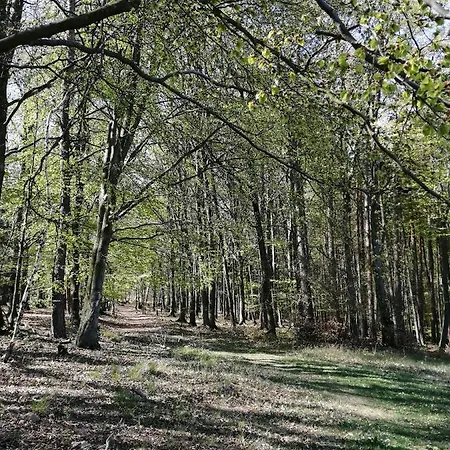 Uhliska A Depandance Gazdovsky Dom