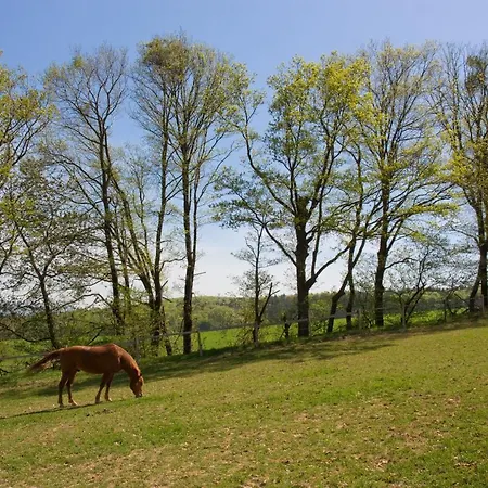 Gasthof Uhliská 3*
